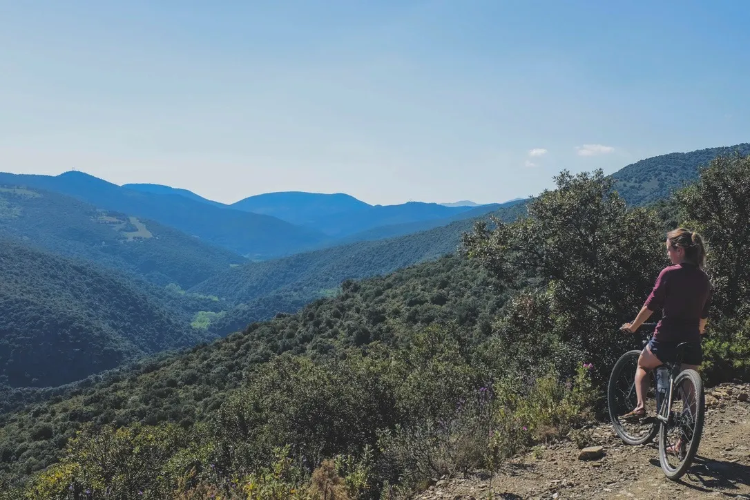 Laura Gravel Laura Gravel